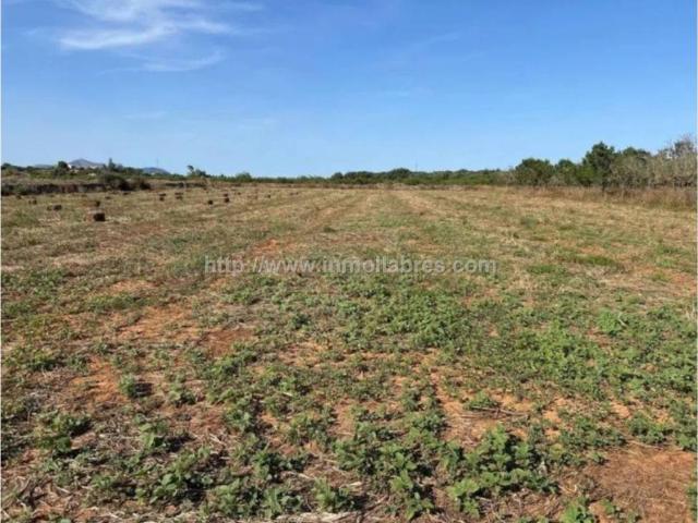 Terreno en Venta en Santa Margalida