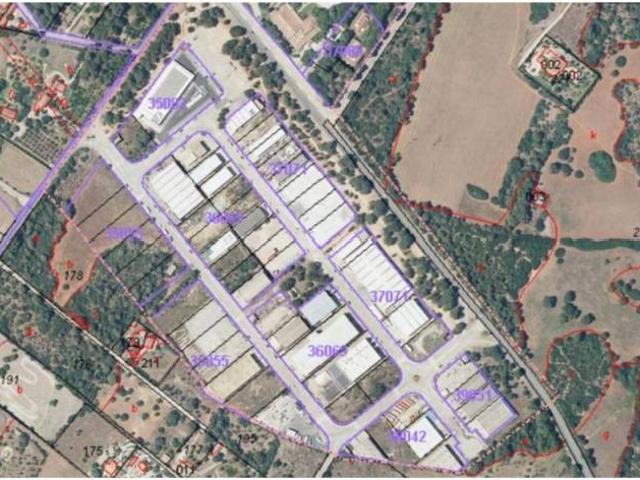 Terreno en Venta en Santa Margalida