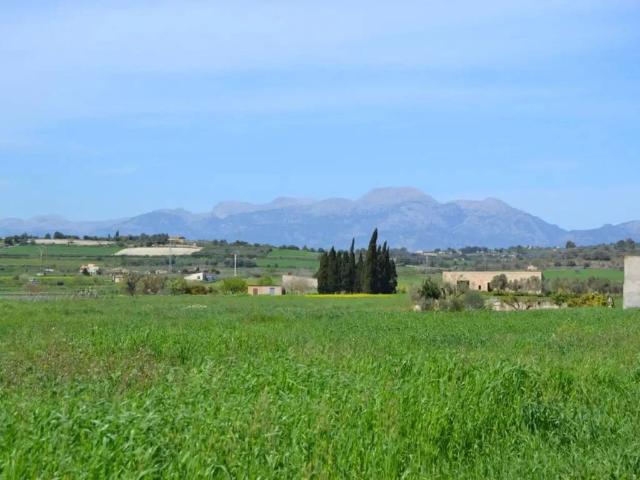 Terreno en Venta en Santa Margalida