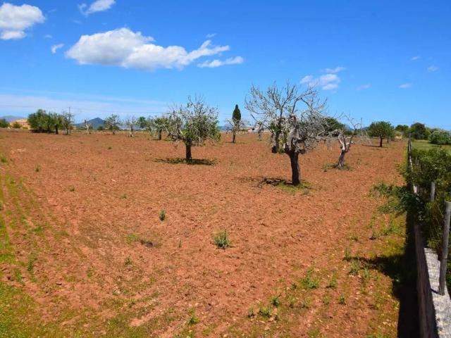 Terreno en Venta en Santa Margalida