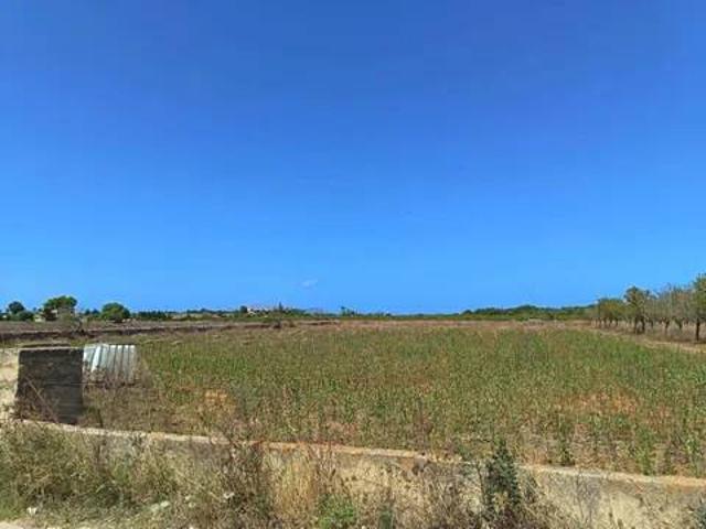 Terreno en Venta en Santa Margalida