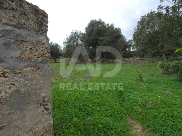 Terreno en Venta en Santa Margalida