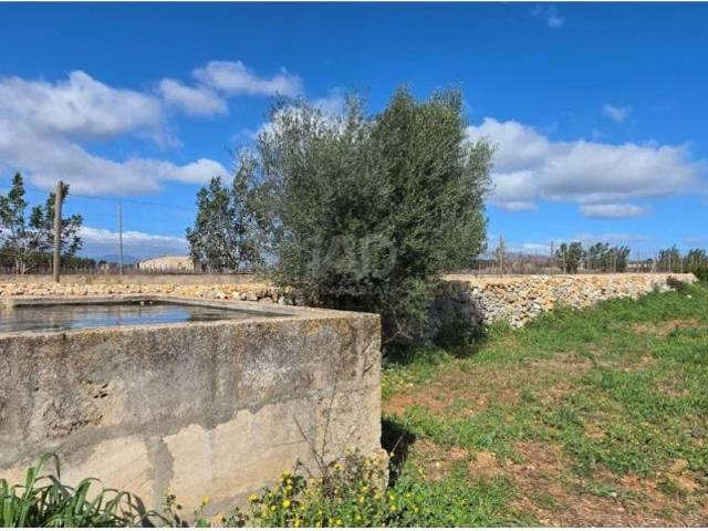 Terreno en Venta en Santa Margalida