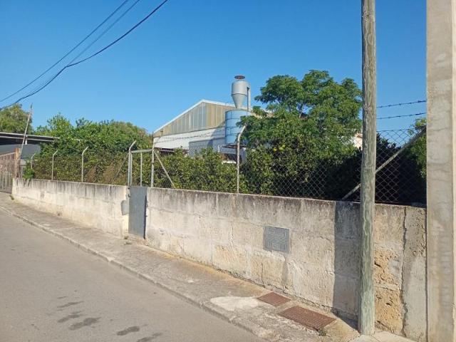 Terreno en venta en Santa Margalida, Santa Margalida