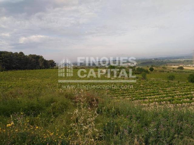 Terreno en Venta en Santa Margarida i Els Monjos