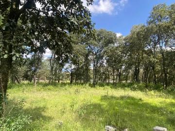 Terreno en venta en Santa Maria Mazatla, Jilotzingo, México