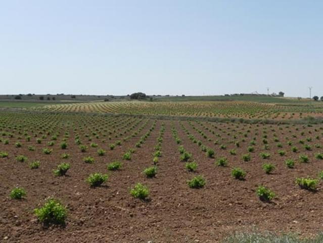 Terreno en venta en Santa María De Los Llanos