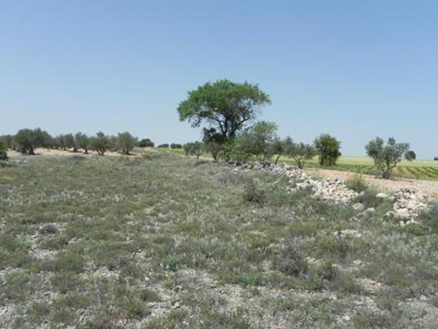 Terreno en venta en Santa María De Los Llanos