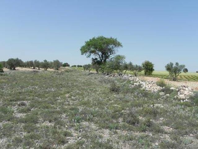 Terreno en Venta en Santa María de los Llanos