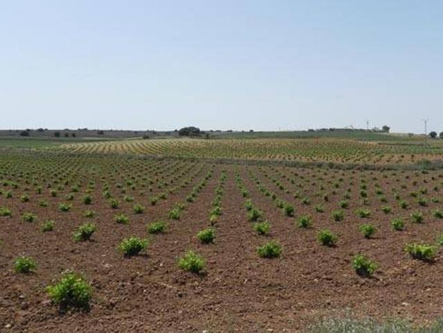 Terreno en Venta en Santa María de los Llanos