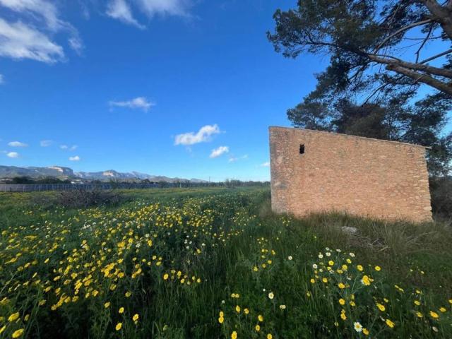 Terreno en Venta en Santa Maria del Camí