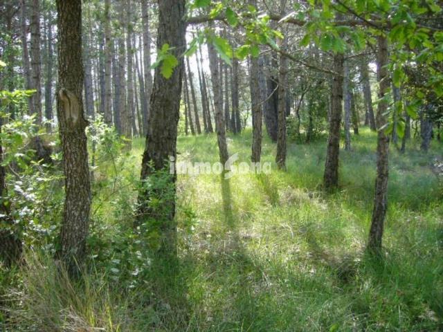 Terreno en Venta en Santa Maria d'Oló