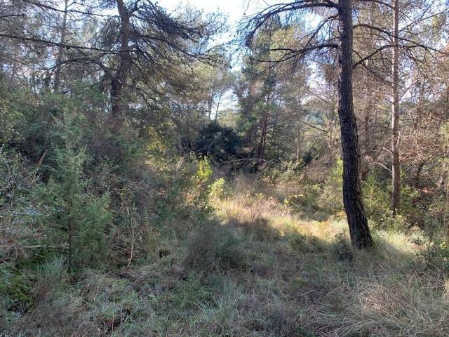 Terreno en venta en Santa Maria d´Oló, de 8.700 m² por 13.000
