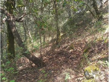 Terreno en venta en Santa Ana, San Joaquín, Querétaro