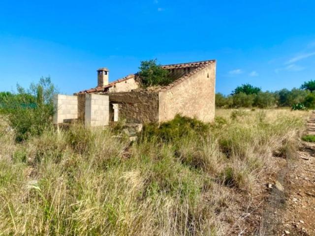 Terreno en venta en Santa Bárbara