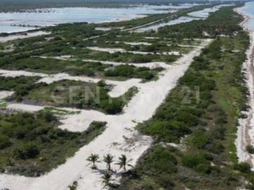 Terreno en Venta en Santa Clara, Yucatán