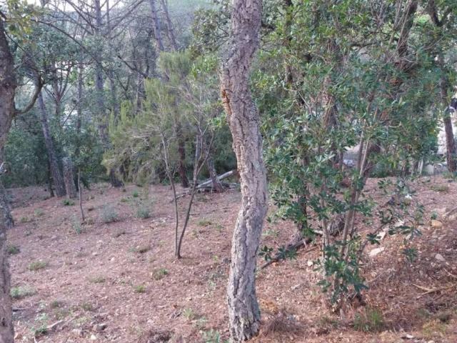 Terreno en Venta en Santa Cristina d'Aro