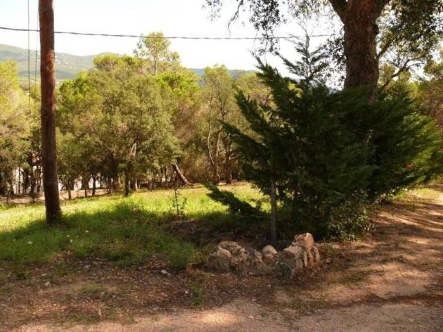 Terreno en Venta en Santa Cristina d'Aro