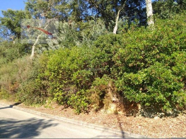 Terreno en Venta en Santa Cristina d'Aro