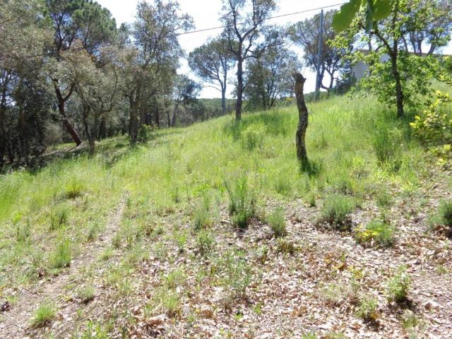 Terreno en Venta en Santa Cristina d'Aro