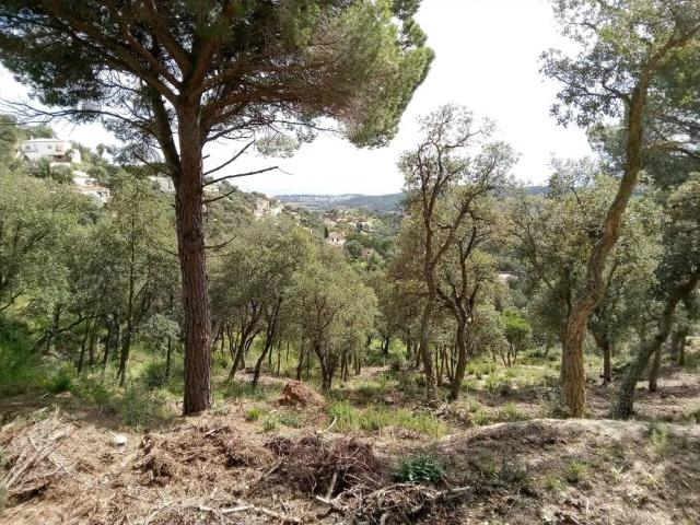 Terreno en Venta en Santa Cristina d'Aro