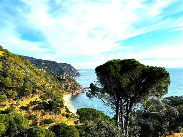 Terreno en Venta en Santa Cristina d'Aro