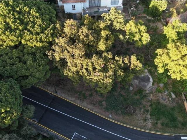 Terreno en Venta en Santa Cristina d'Aro