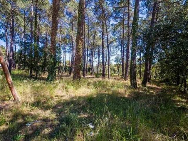 Terreno en Venta en Santa Cristina d'Aro