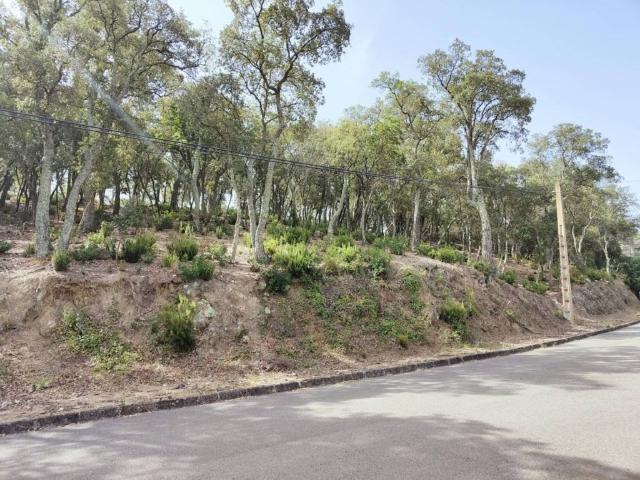 Terreno en Venta en Santa Cristina d'Aro