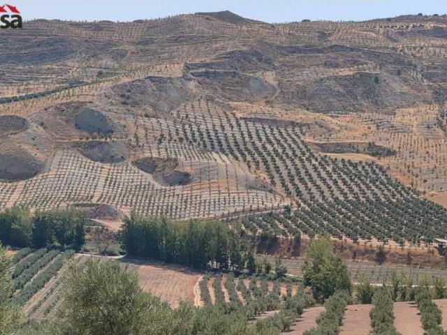 Terreno en Venta en Santa Cruz del Comercio