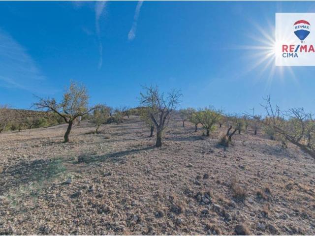 Terreno en Venta en Santa Cruz del Comercio