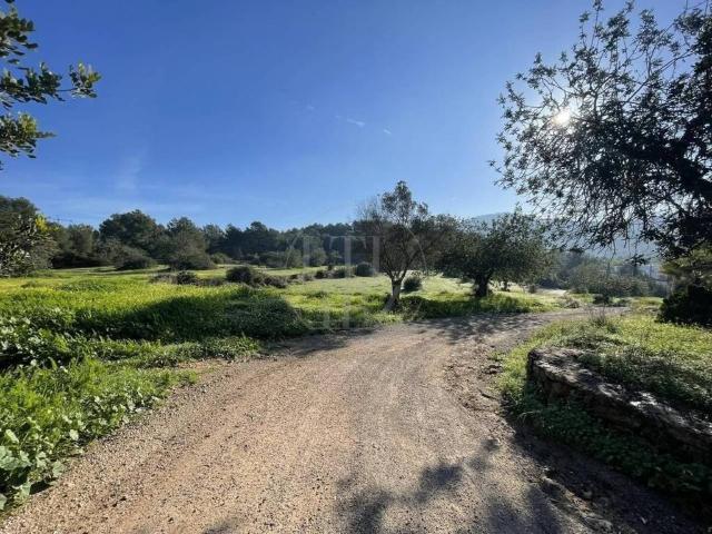 Terreno en Venta en Santa Eulària des Riu