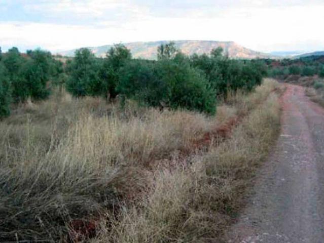 Terreno en Venta en Santa Elena