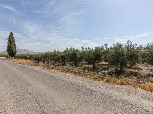 Terreno en Venta en Santa Fe