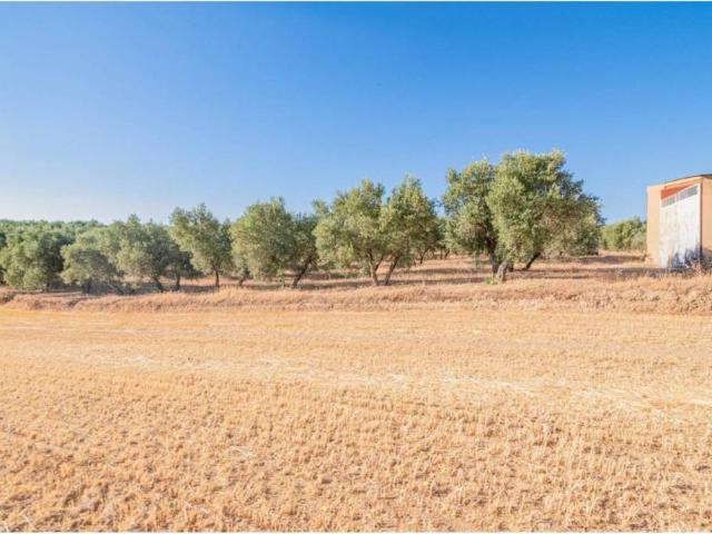 Terreno en Venta en Santa Fe