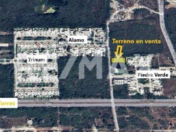 Terreno en venta en Santa Gertrudis Copo cerca de periférico, Mérida Yucatán 4