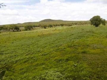 Terreno en Venta en Santa Rosa de Lima Queretaro