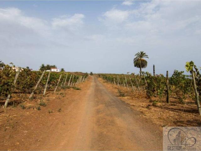 Terreno en Venta en Santa Úrsula