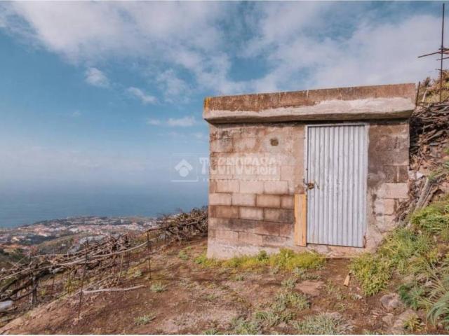 Terreno en Venta en Santa Úrsula