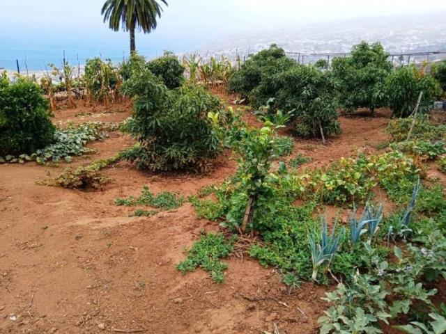 Terreno en Venta en Santa Úrsula