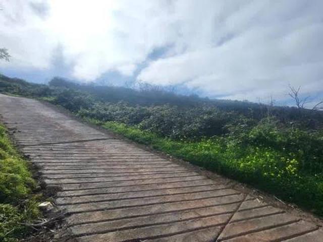 Terreno en Venta en Santa Úrsula
