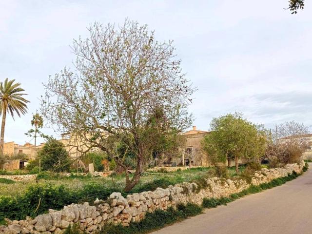 Terreno en Venta en Santanyí