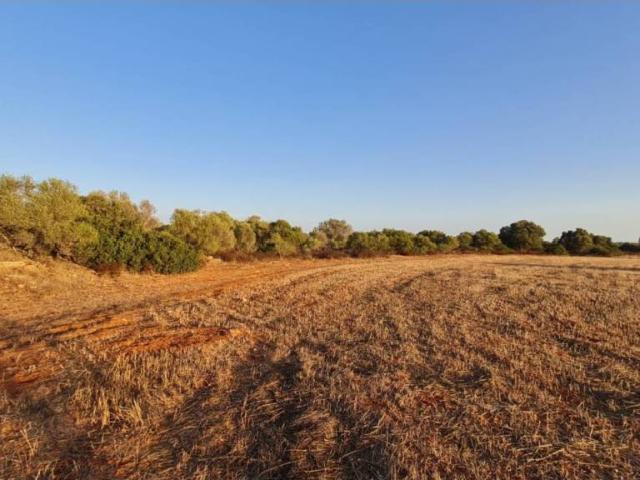 Terreno en Venta en Santanyí