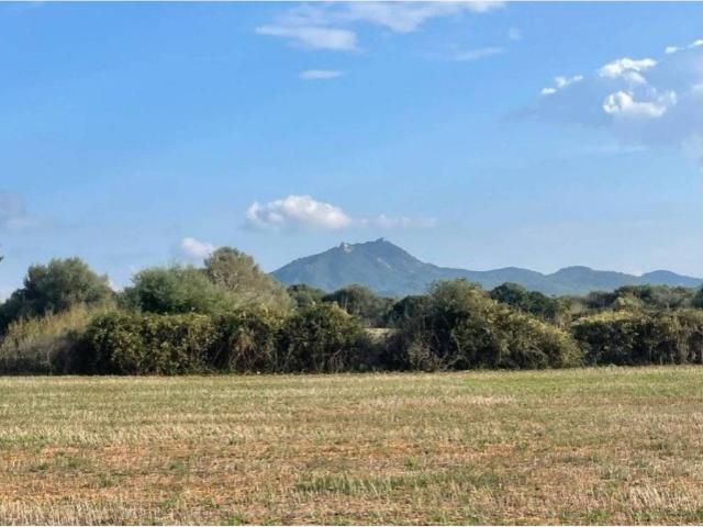 Terreno en Venta en Santanyí