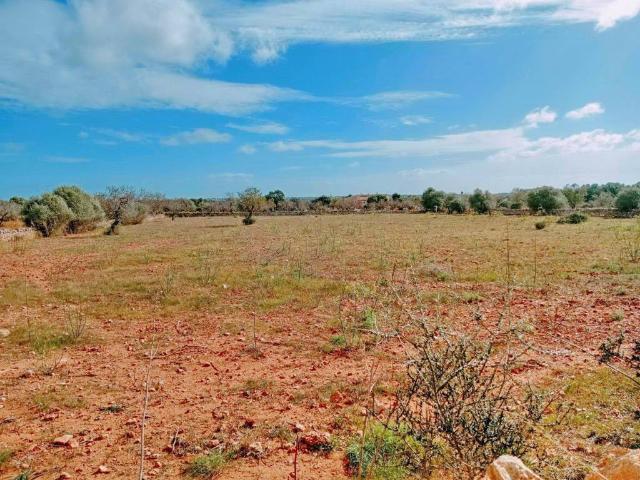 Terreno en Venta en Santanyí