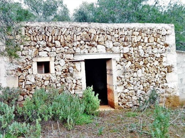 Terreno en Venta en Santanyí
