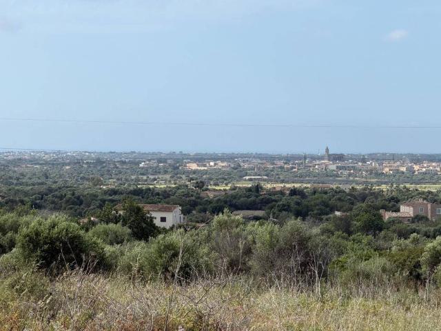 Terreno en Venta en Santanyí