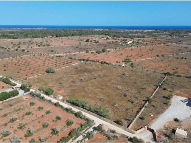 Terreno en Venta en Santanyí