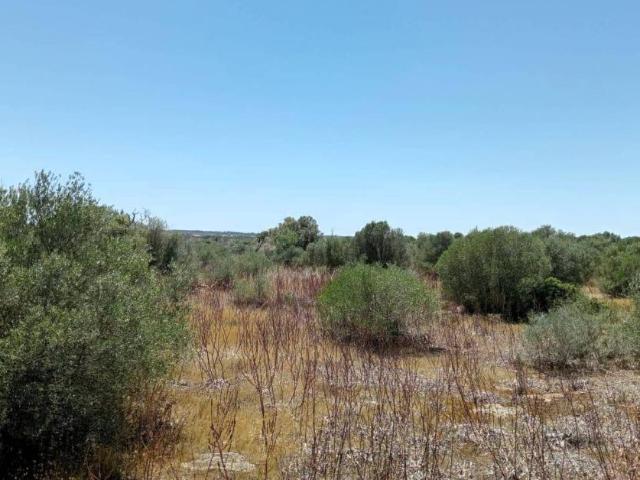 Terreno en Venta en Santanyí