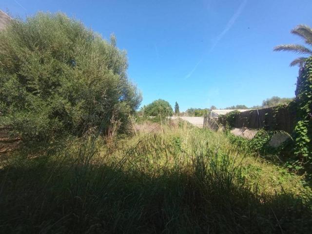 Terreno en Venta en Santanyí